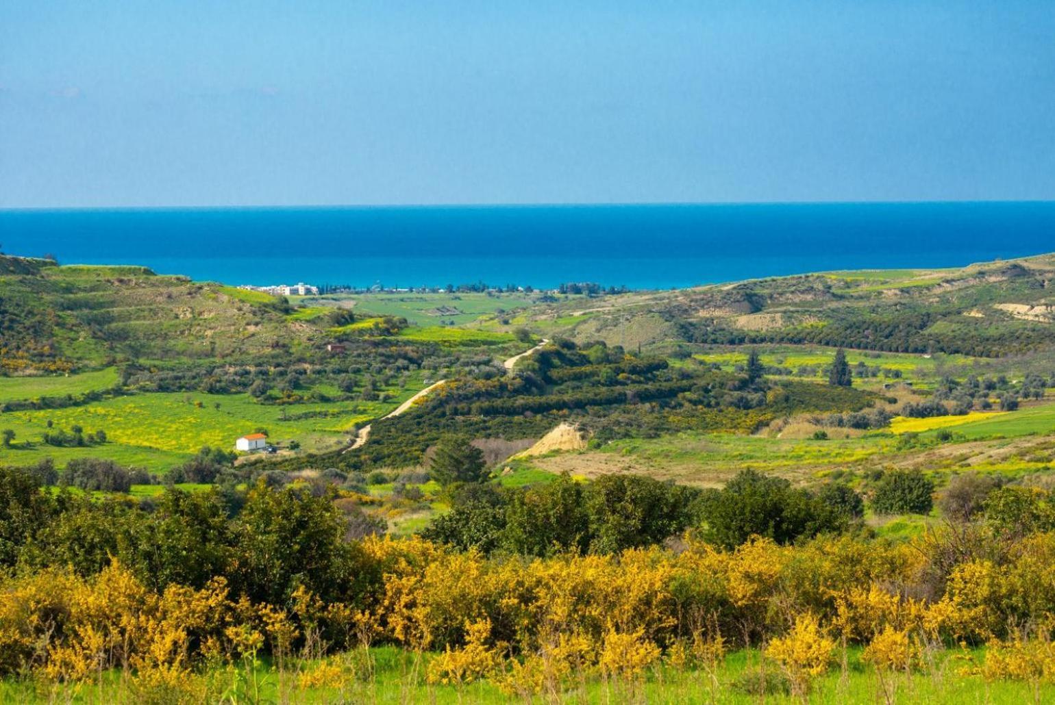 Villa Rallo Paphos Ngoại thất bức ảnh